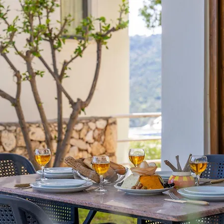 Tara Dom wakacyjny *